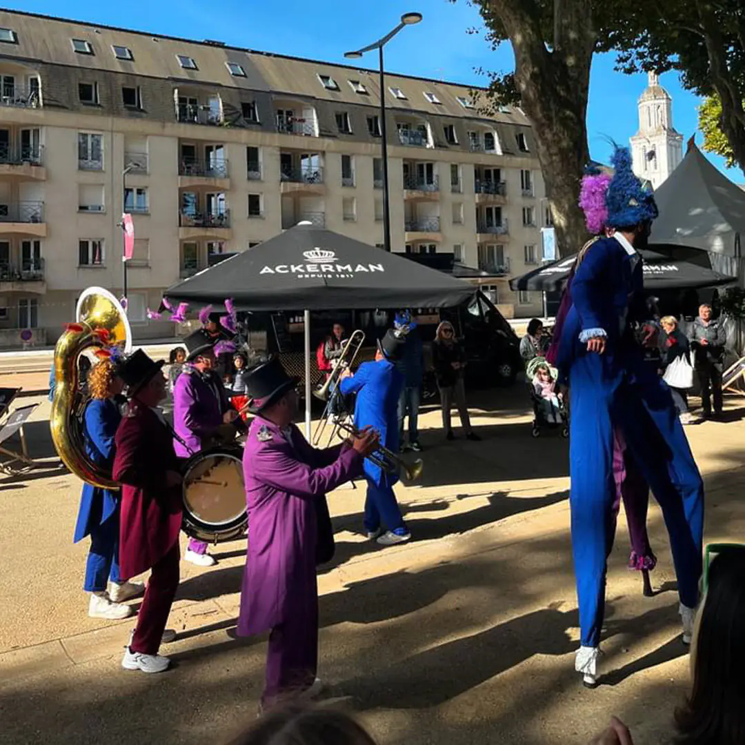 Ackerman en festivals 2026